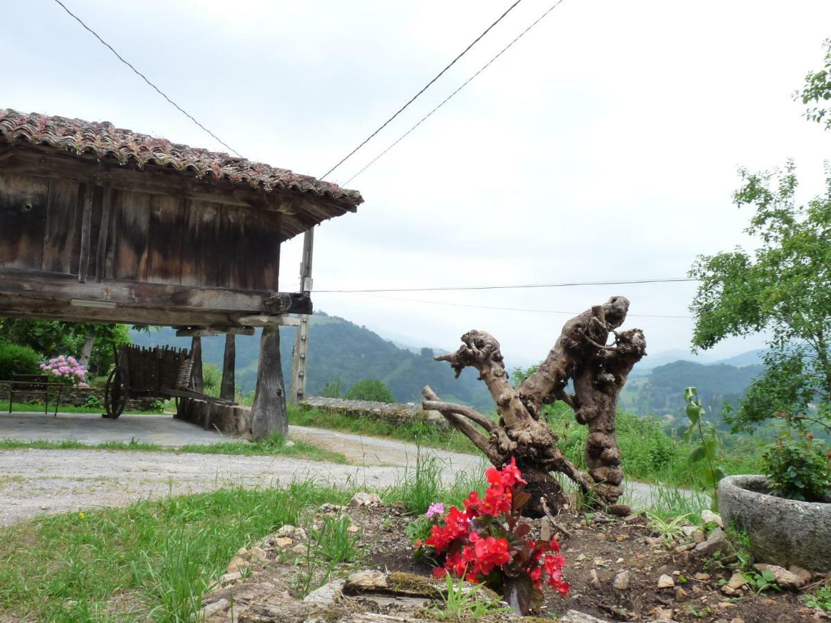 Penzion Casa Iris Narciandi Exteriér fotografie