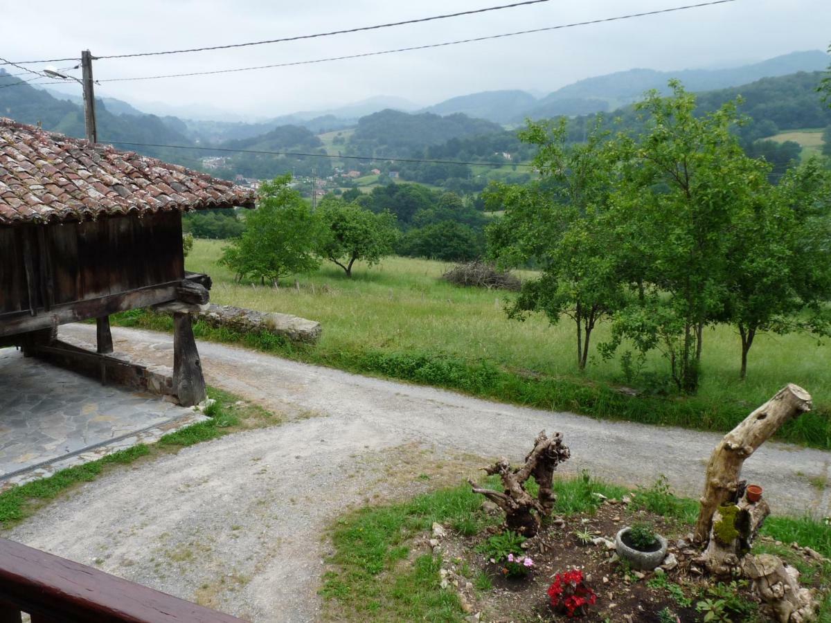Penzion Casa Iris Narciandi Exteriér fotografie
